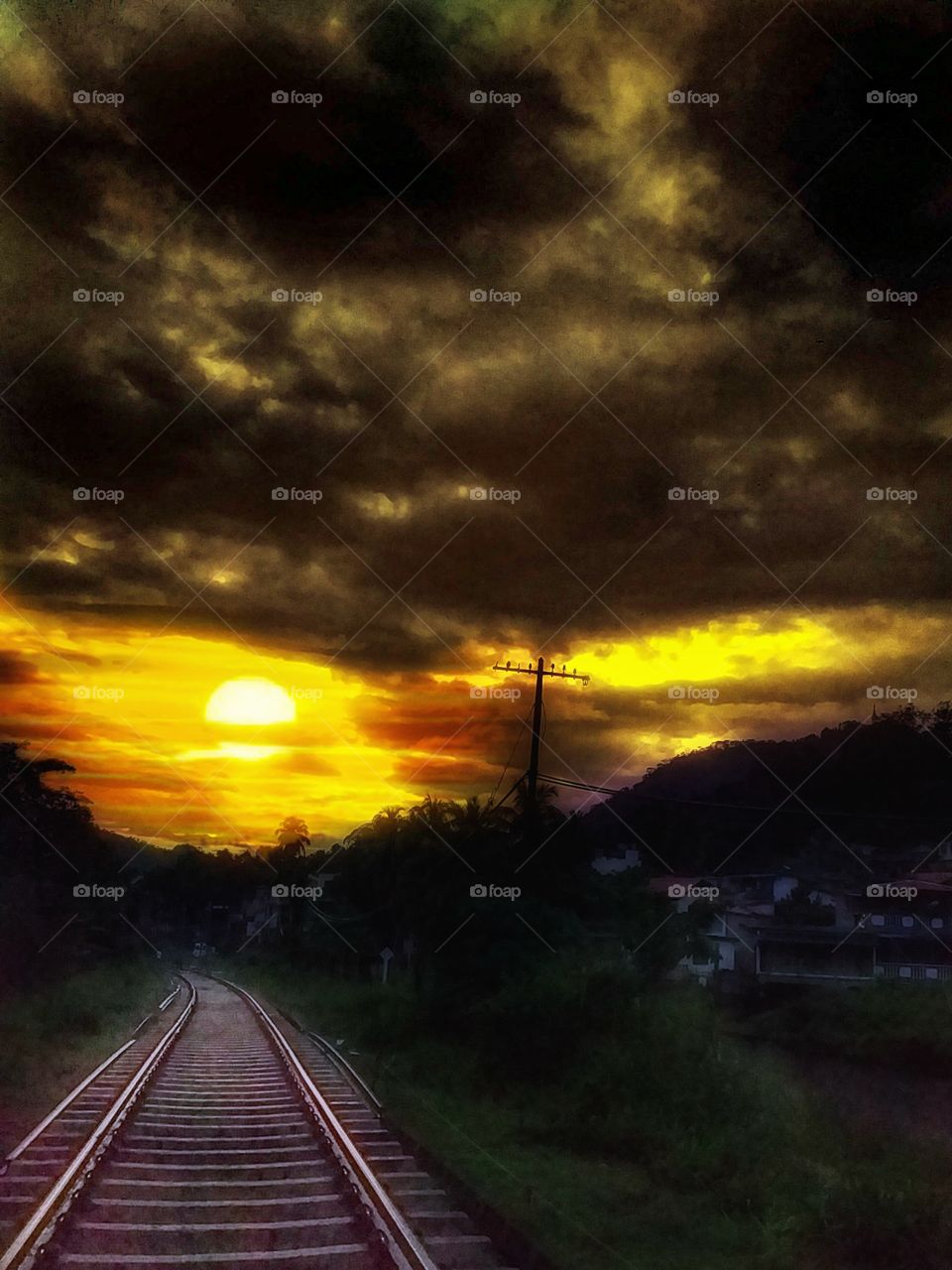 beautiful evening environment in railway track