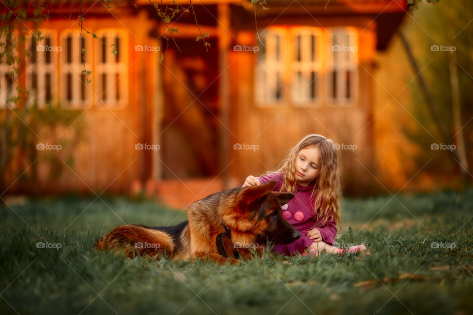 Portrait of a little girl with German shepherd dog at sunny evening 