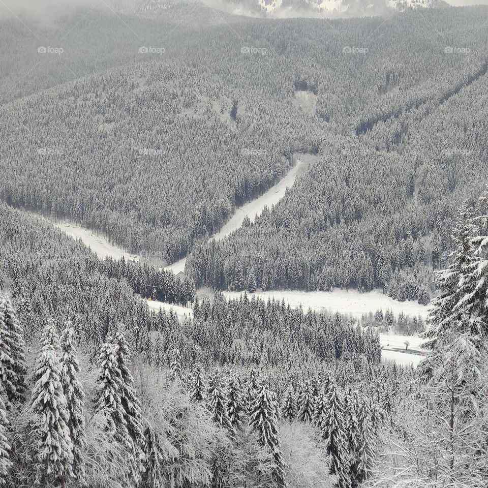 Carpathian mountains