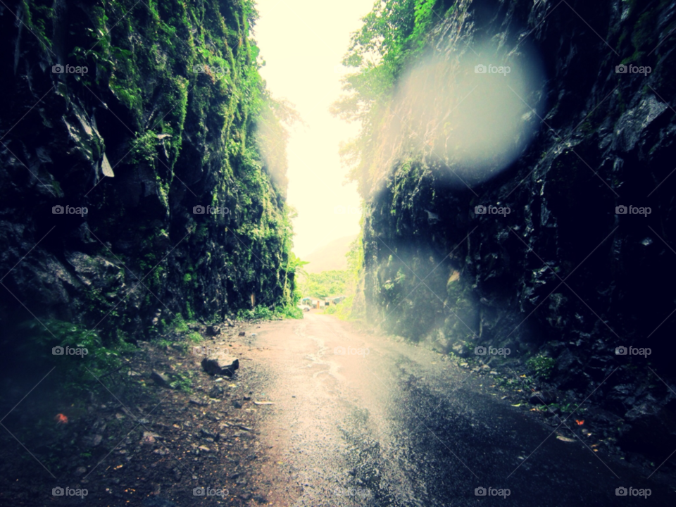 tunnel nature trees road by prerna.chavan