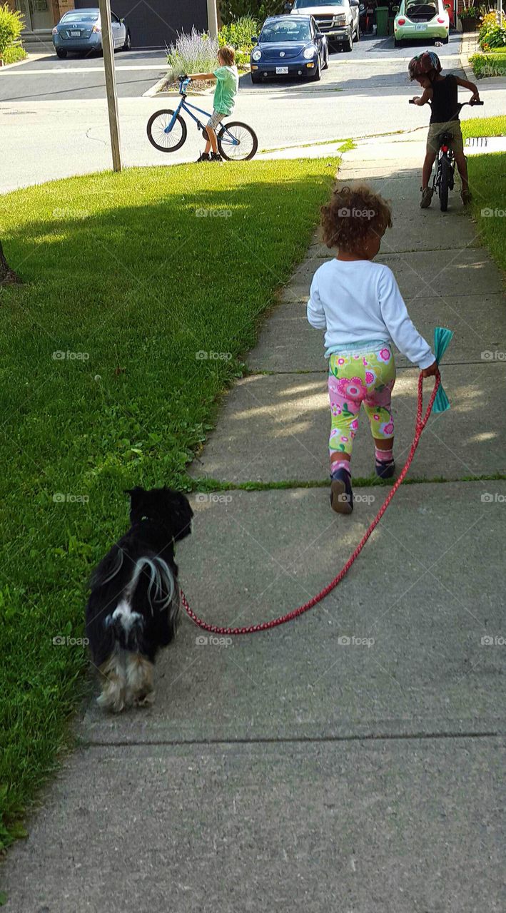 little girl taking puppy for walk