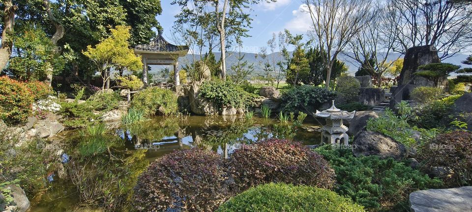 beautiful landscape with a lake