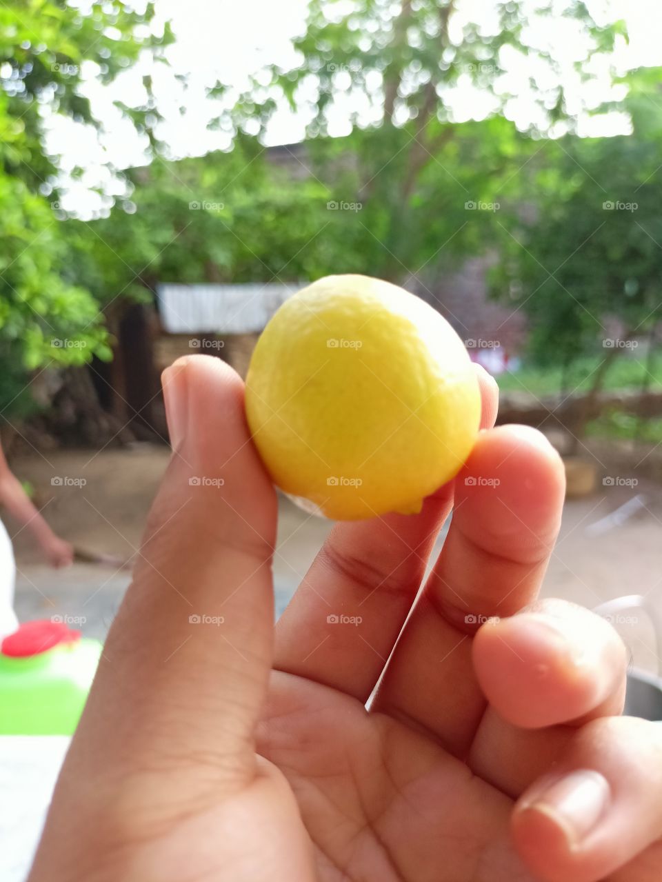 lemon