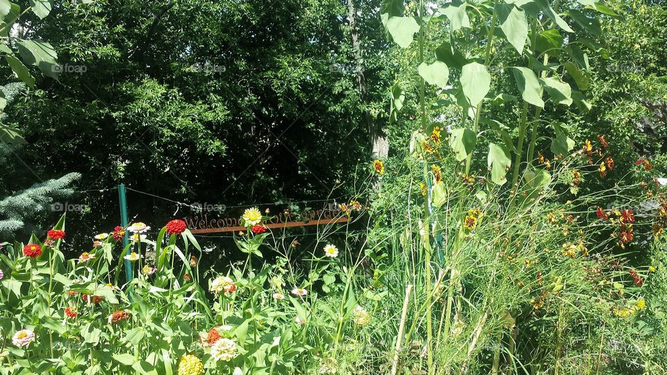 Cheerful Garden. Bright and Cheery