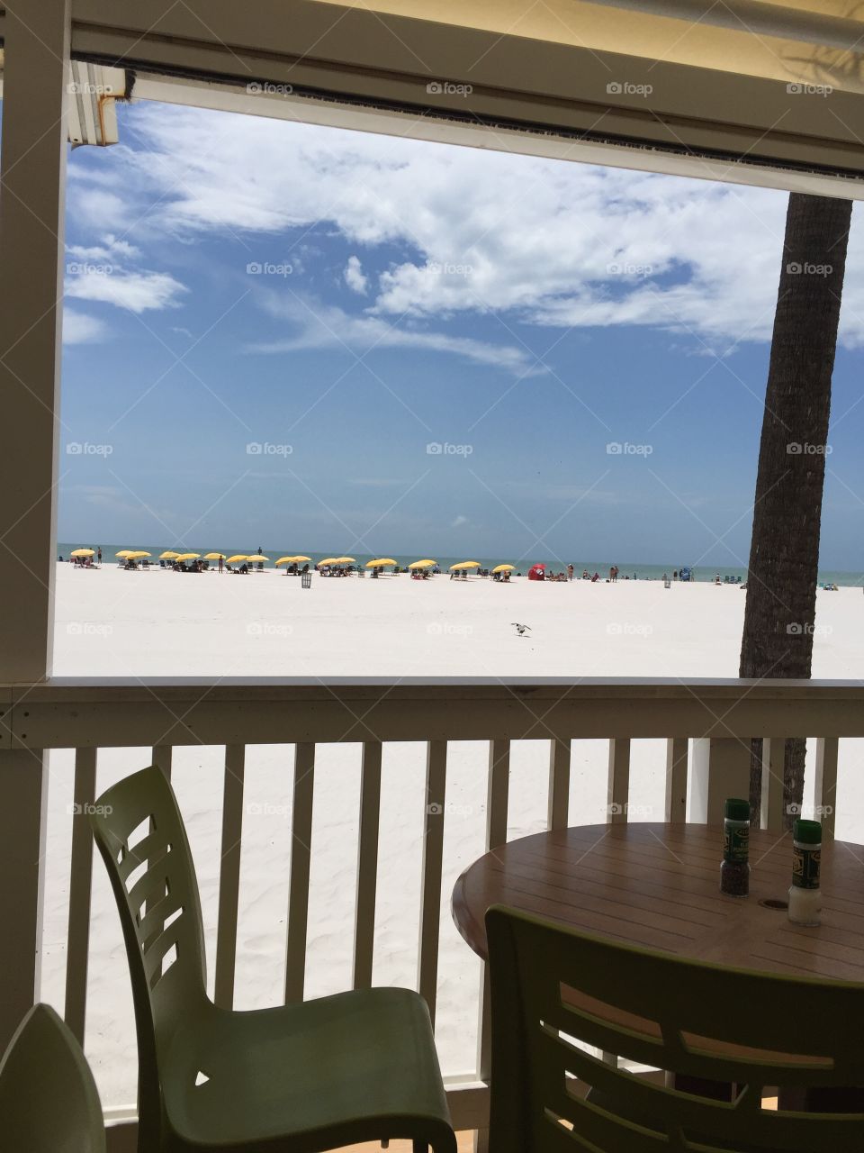 Clearwater beach bar