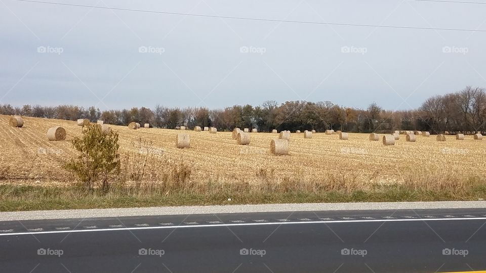 baled hayfield