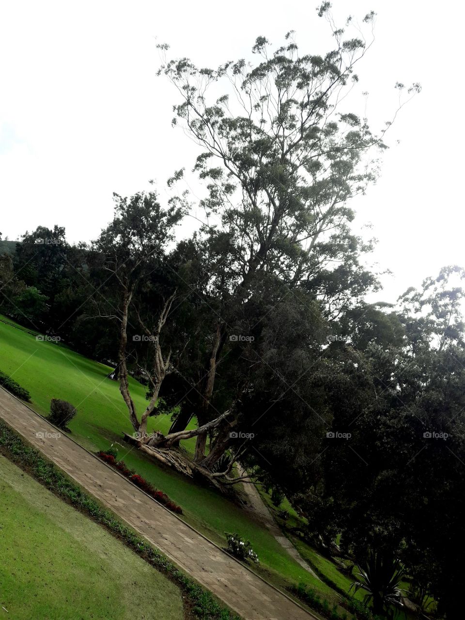 Victoriya Park at Nuwara-Eliya, Sri Lanka 🇱🇰