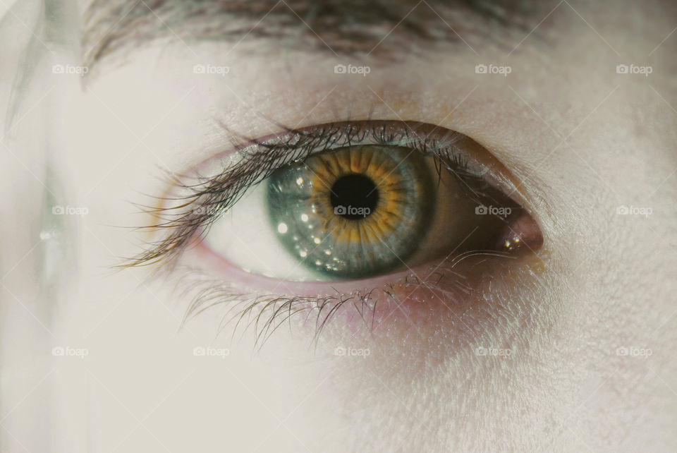 Close-up of person eye