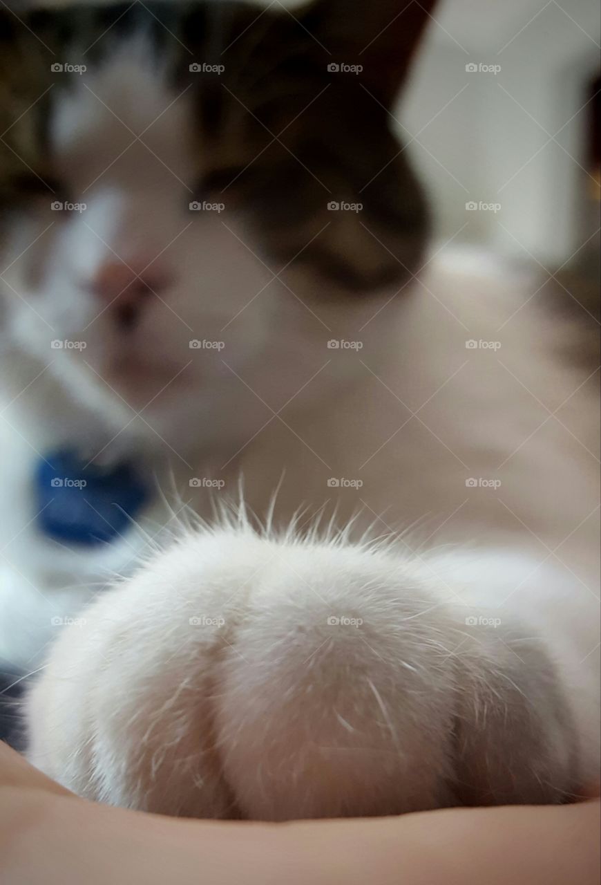 George holding my hand while napping