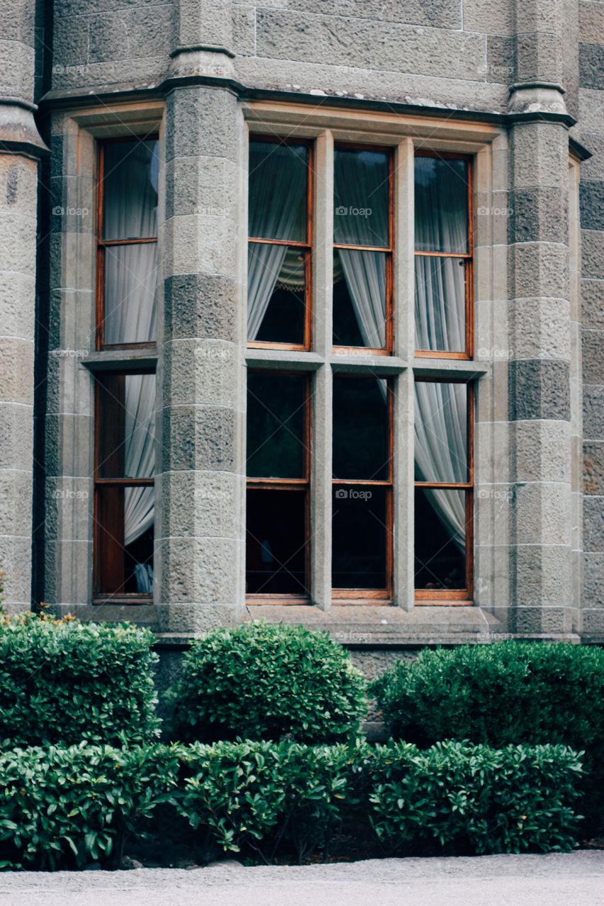 Vintage windows 