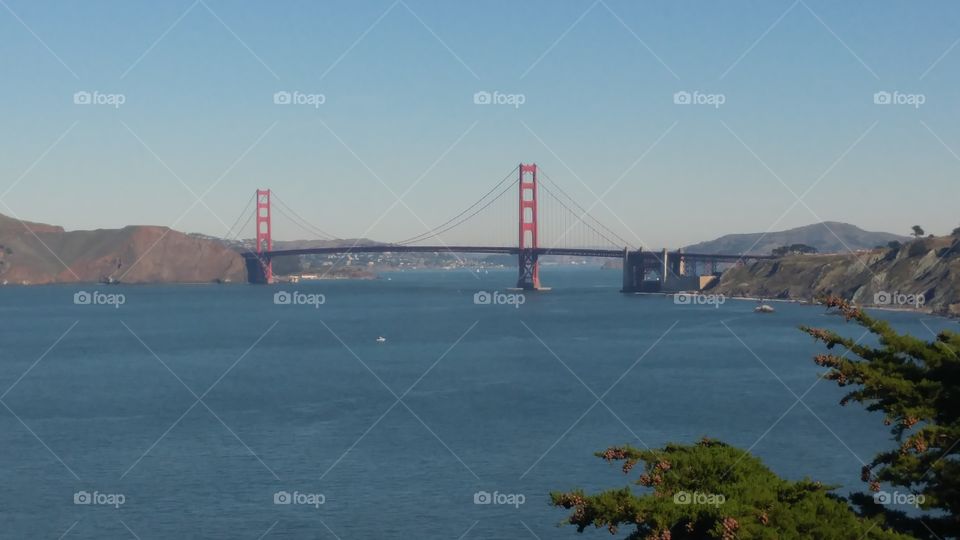 golden gate bridge