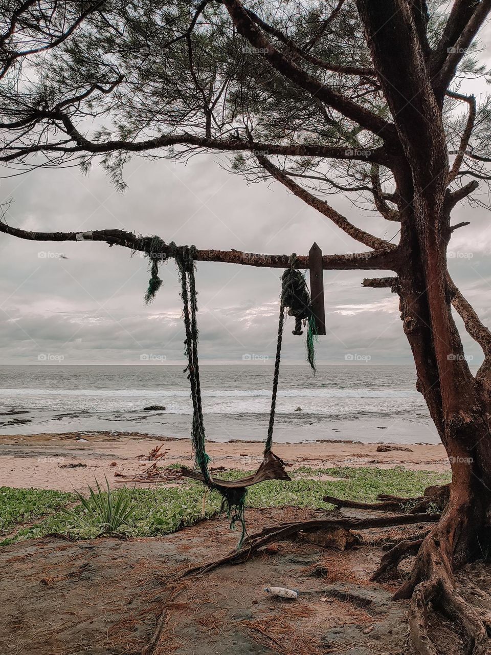 a swing on the beach
