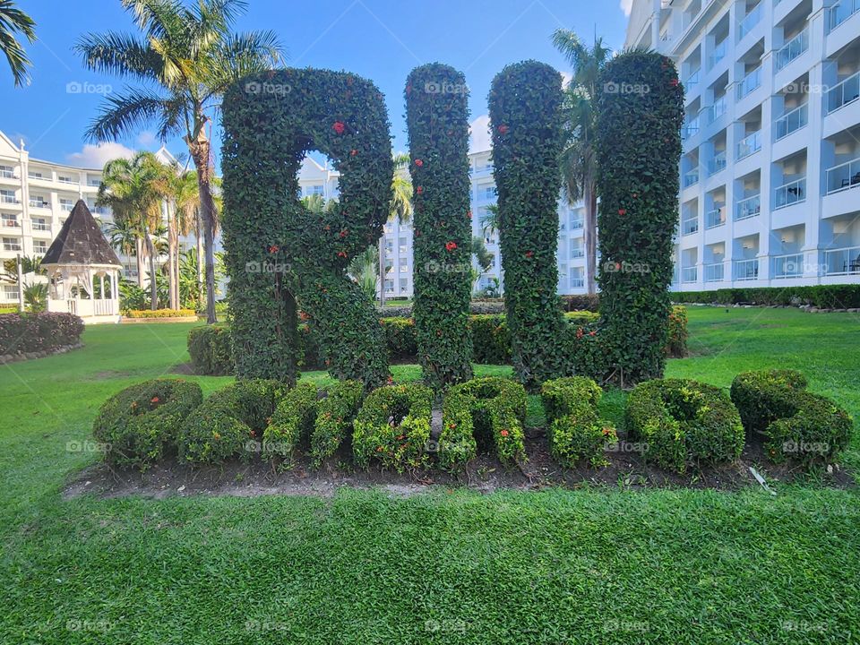 floral display with letters