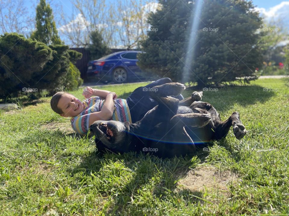 Boy playing with dog