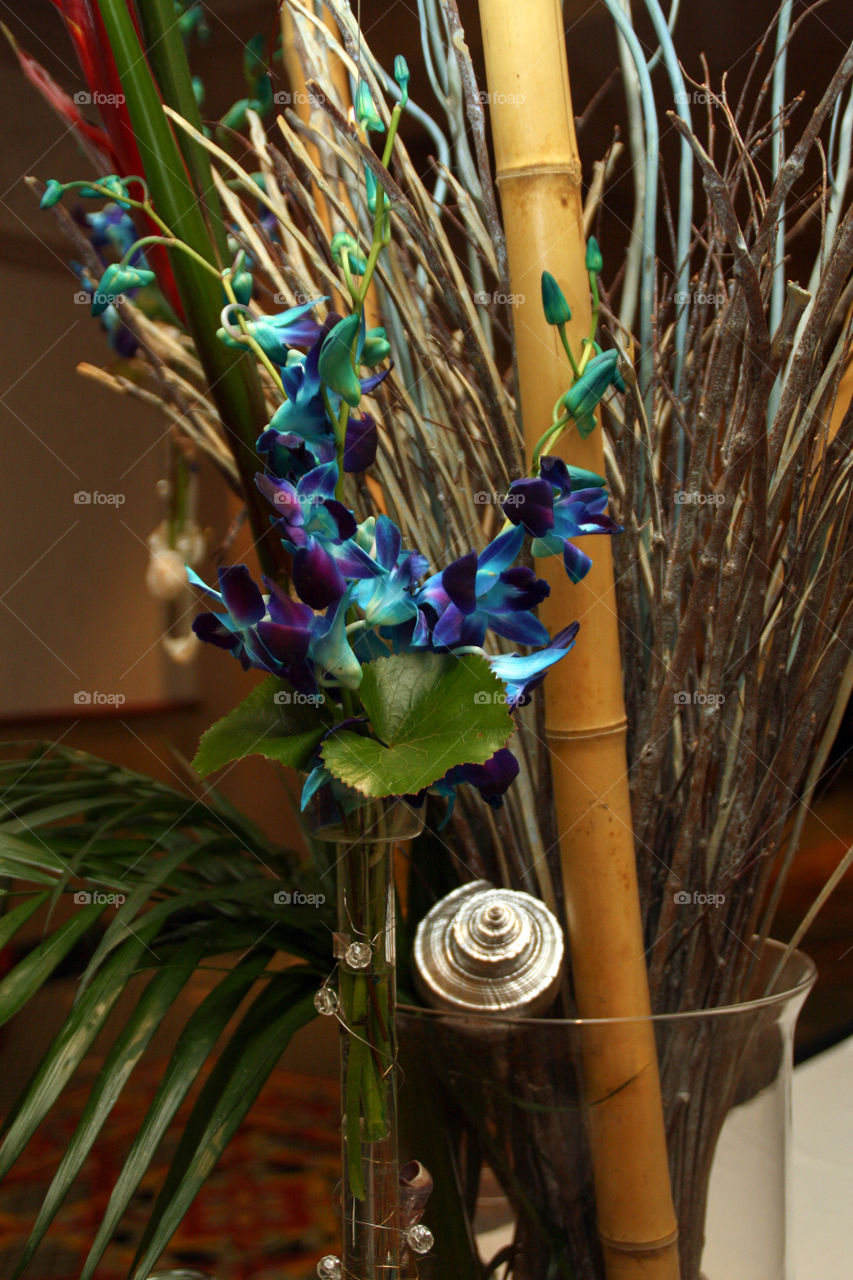 Blue orchids and silver shells in event decor