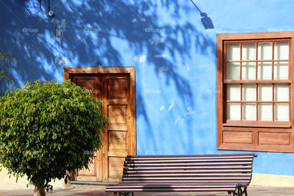 A blue house with a bench and a tree with shadow of a tree in the city