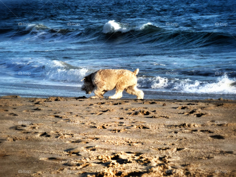 A walk by the beach