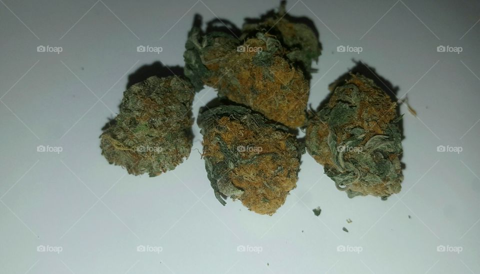 Marijuana, Medicine, Cannabis, Bud, Prescription