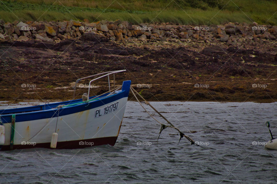 landscape with the sea