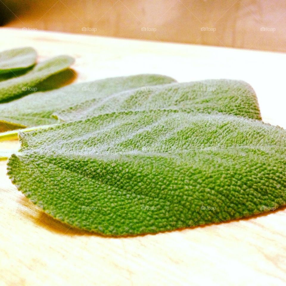 Sage