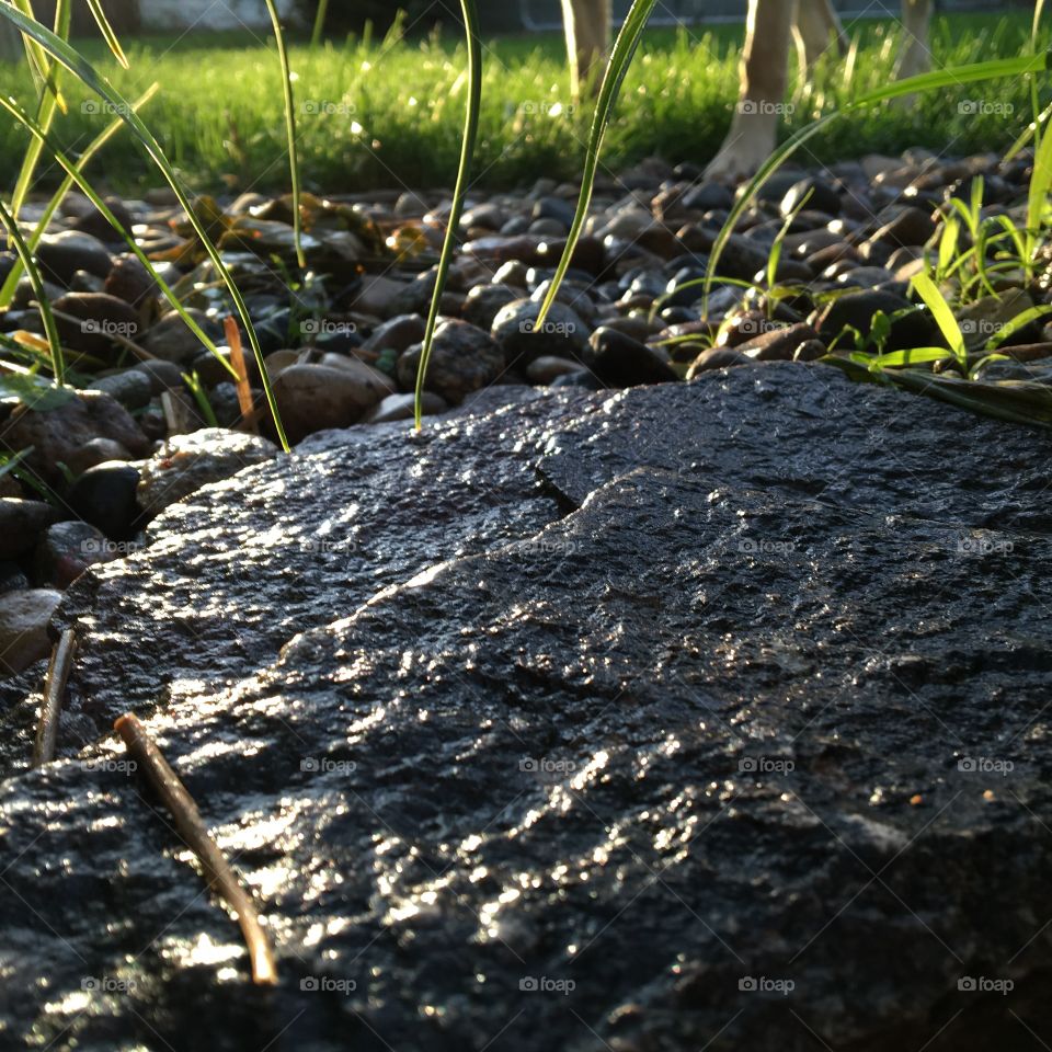 Backyard rocks after morning rain.
