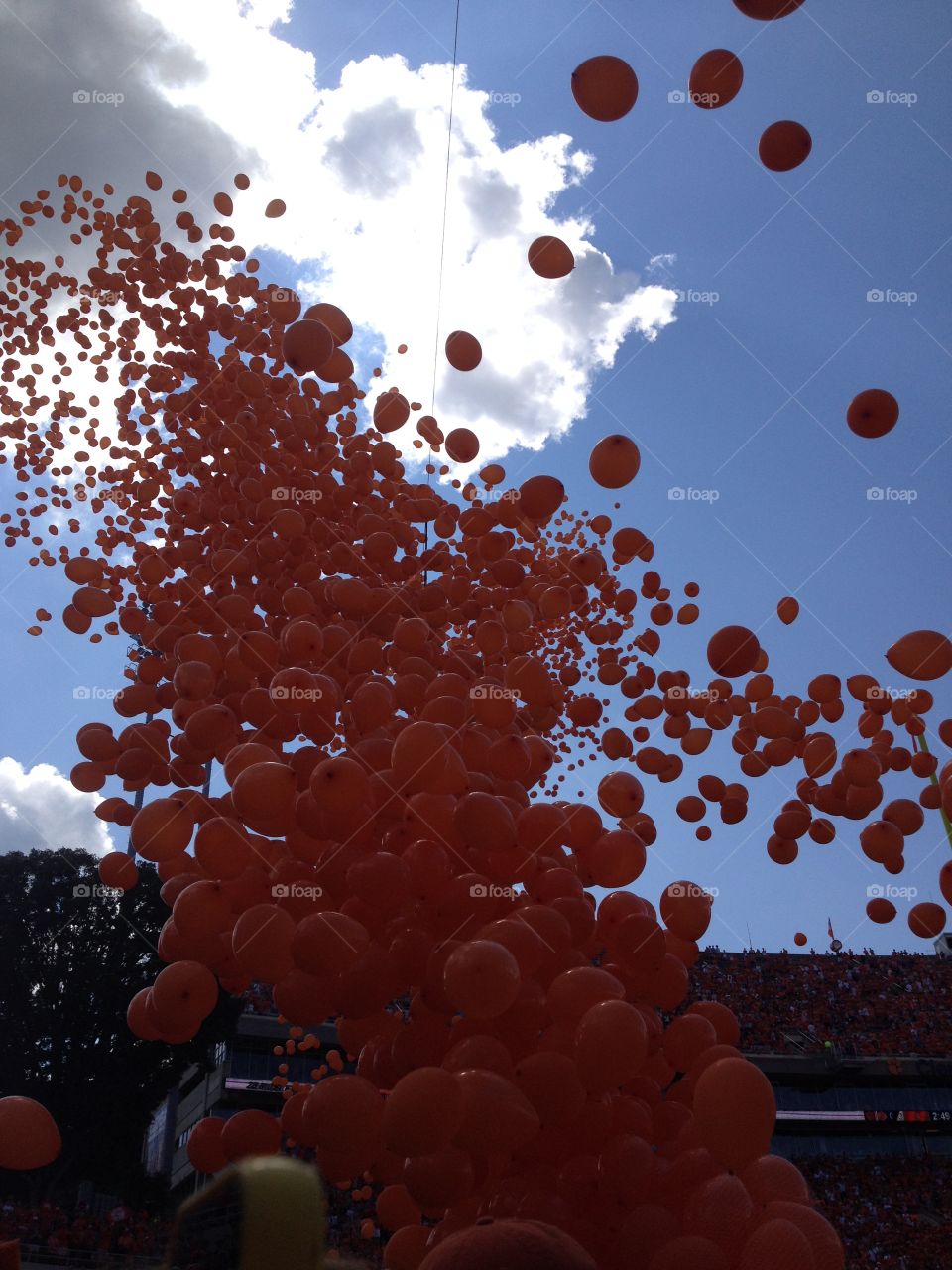 Orange balloons floating into the sky