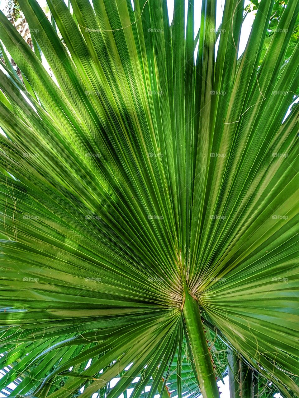 According to perspective