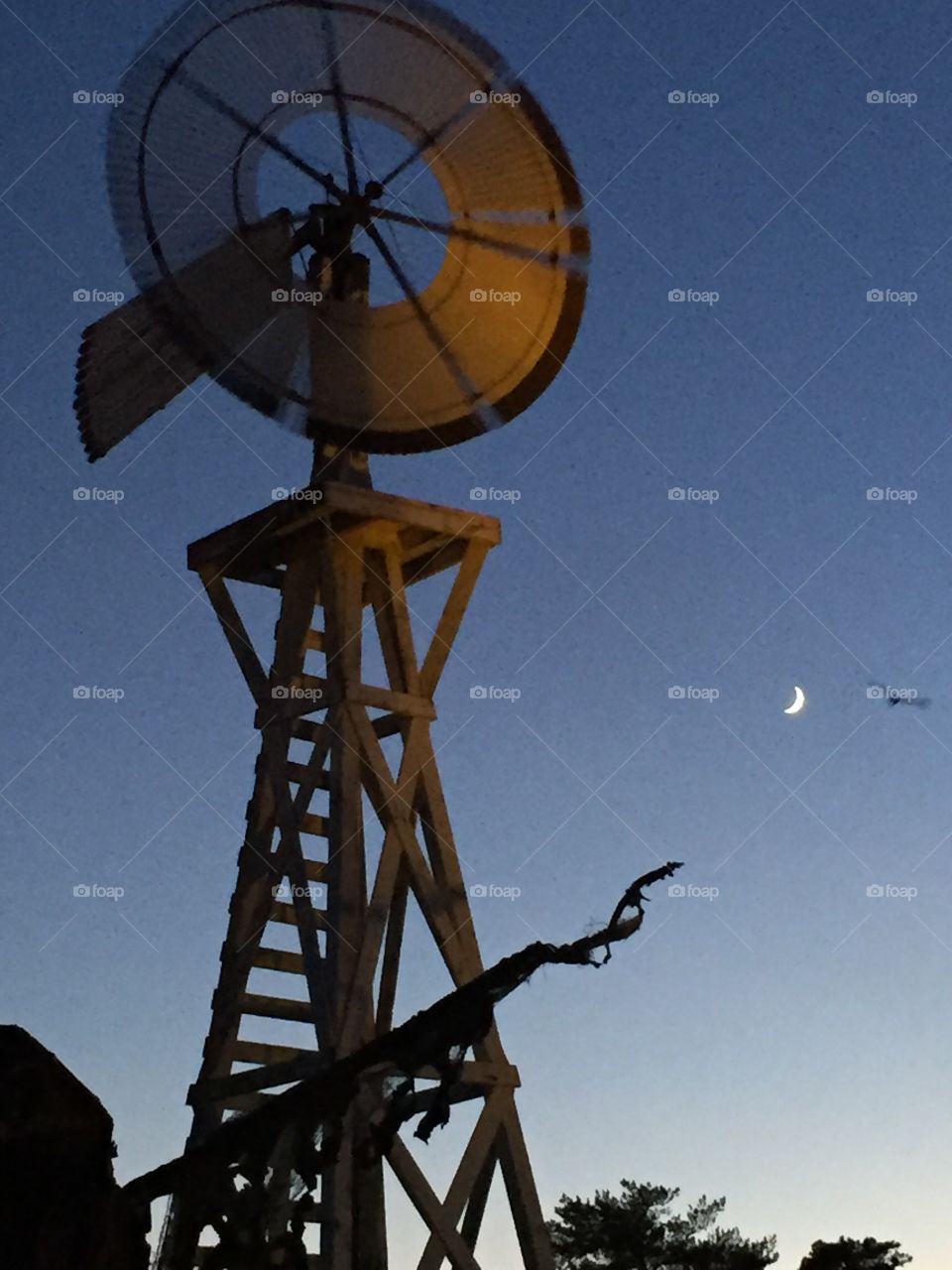 Autumn evening. Pic couldn't quite capture the crispness of the air, clarity of the sky and eeriness of the birds flying past the moon 