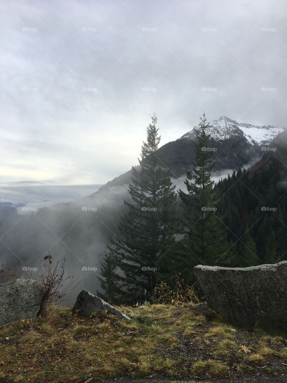 Fog in the mountains 