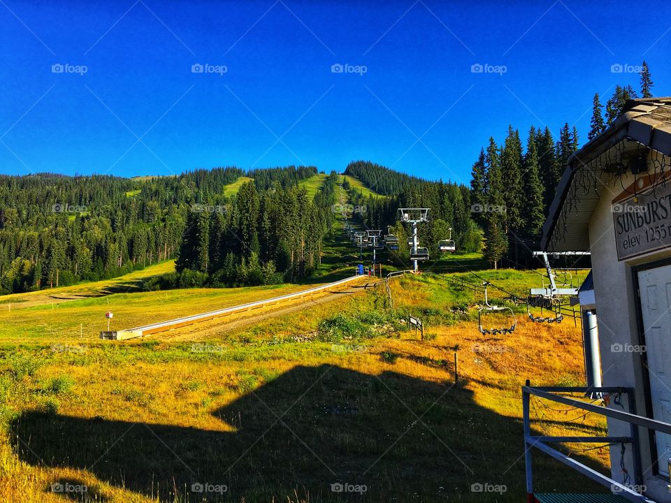 Beautiful summer day 