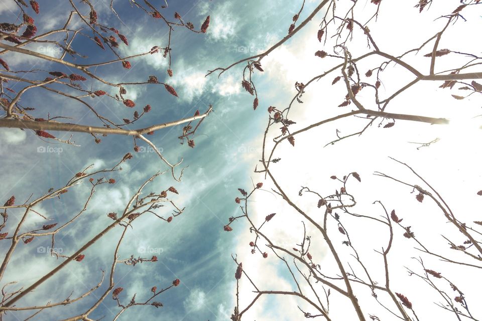 Flower make me happy