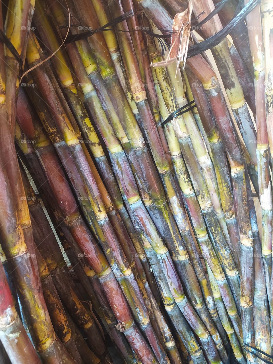 Sugarcane with Natural Sweetness Instant Energy Boosters