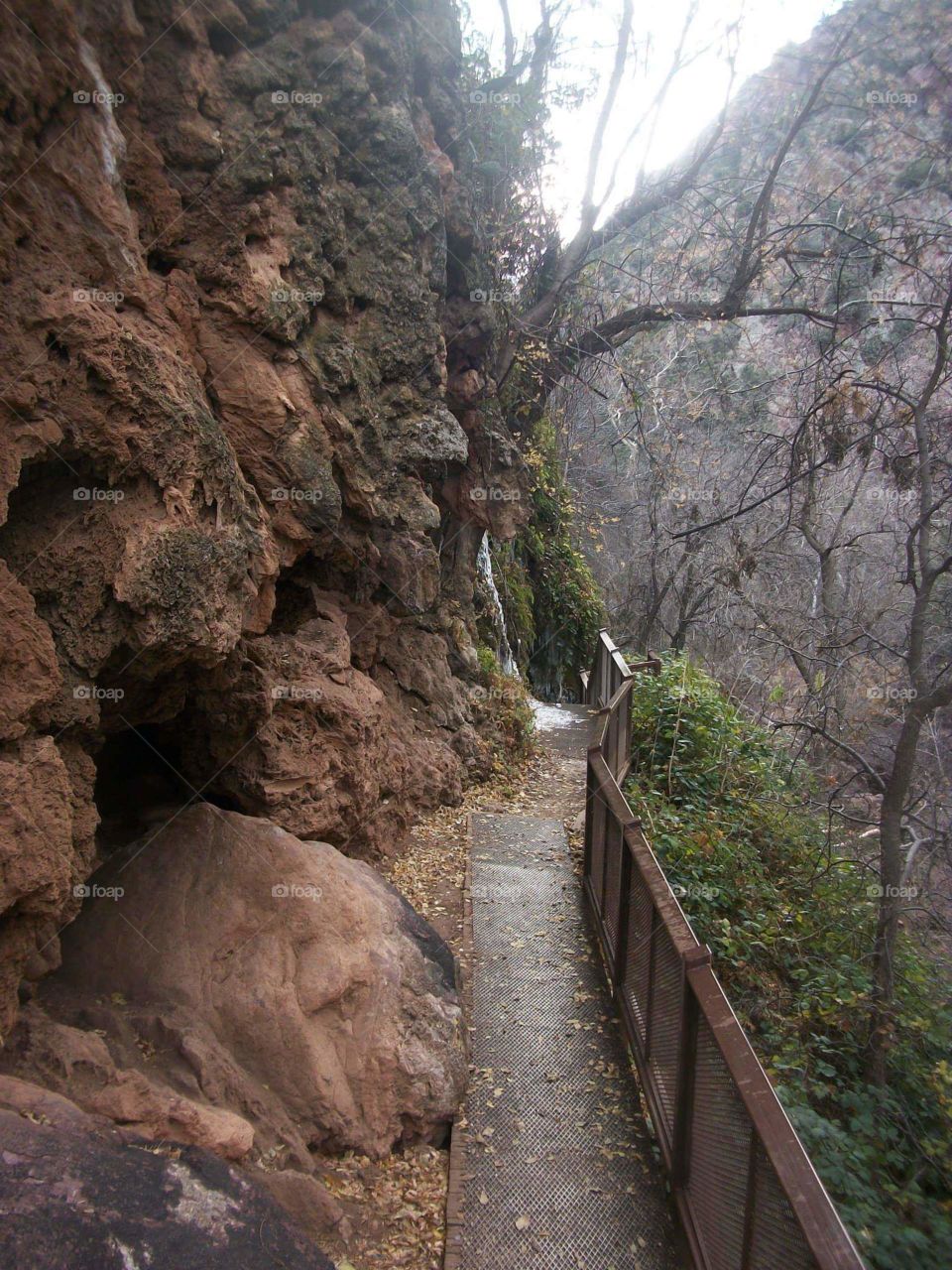 A nice, scenic trail at Tonto Park in Colorado