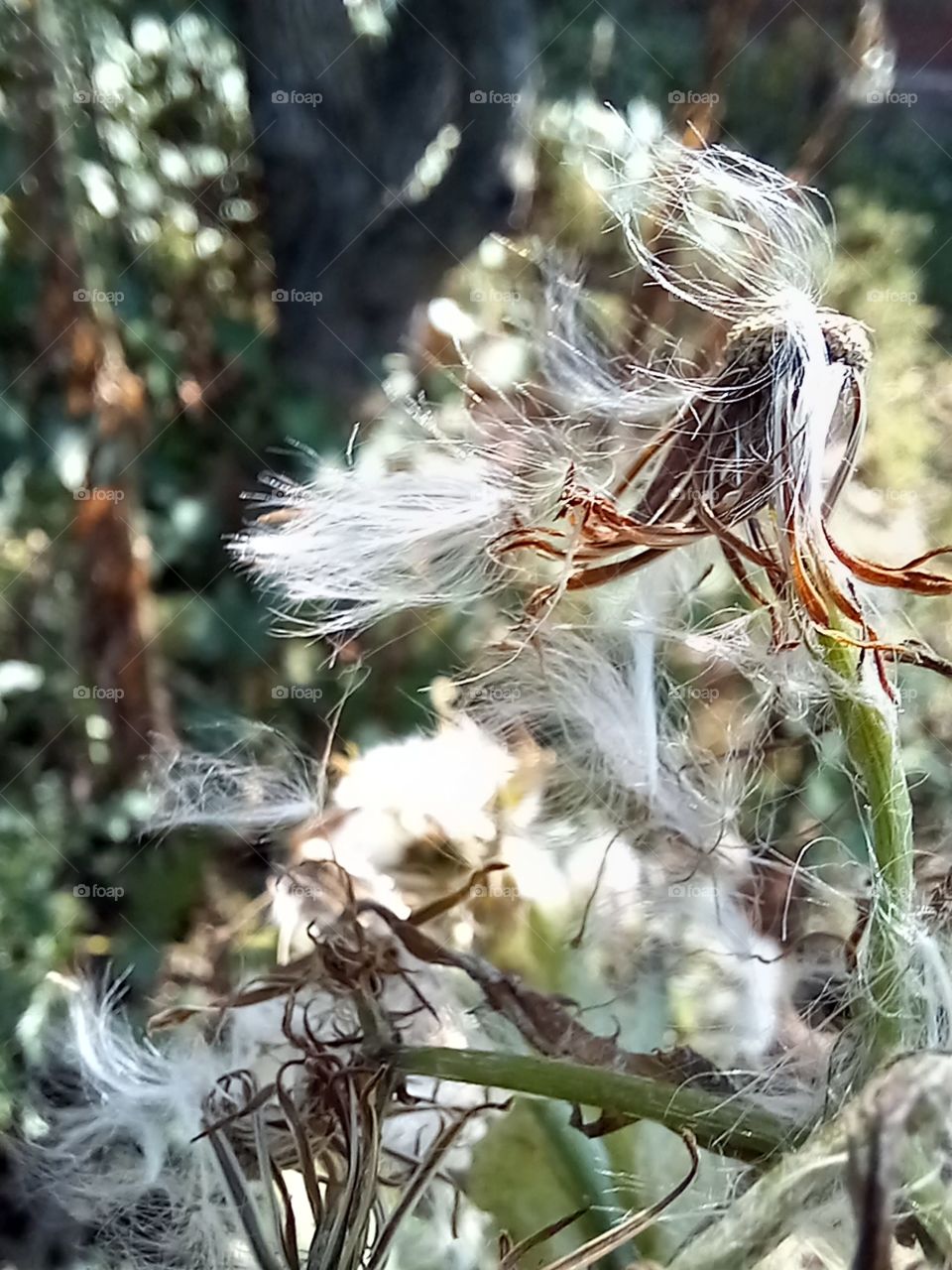the wind, doing what it does best.