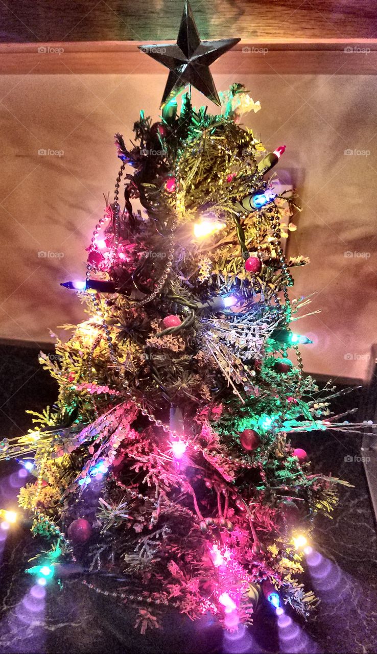 It's the most wonderful time of the year🎄