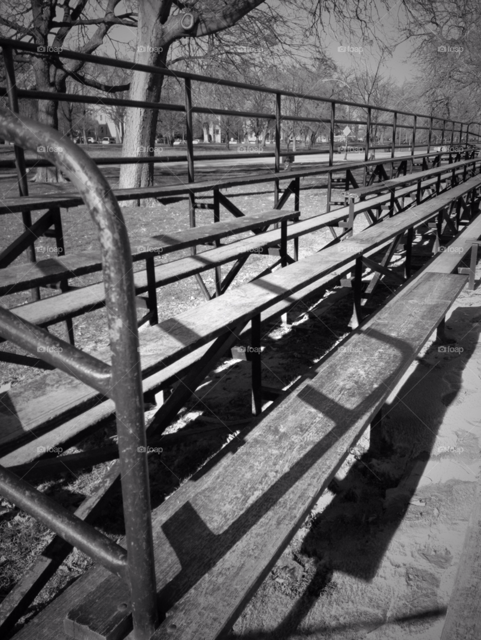 snow winter wood park by squishypie