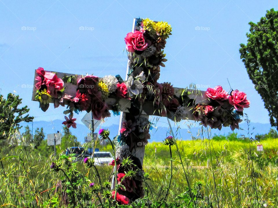 Remembering the Lost