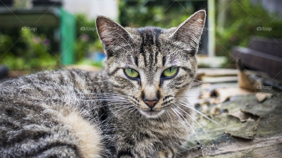 I've got my eyes on you