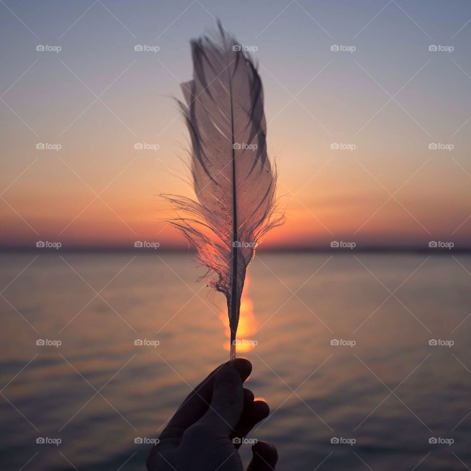 Feathered sunset