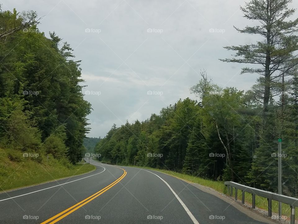 Road, Asphalt, No Person, Highway, Tree