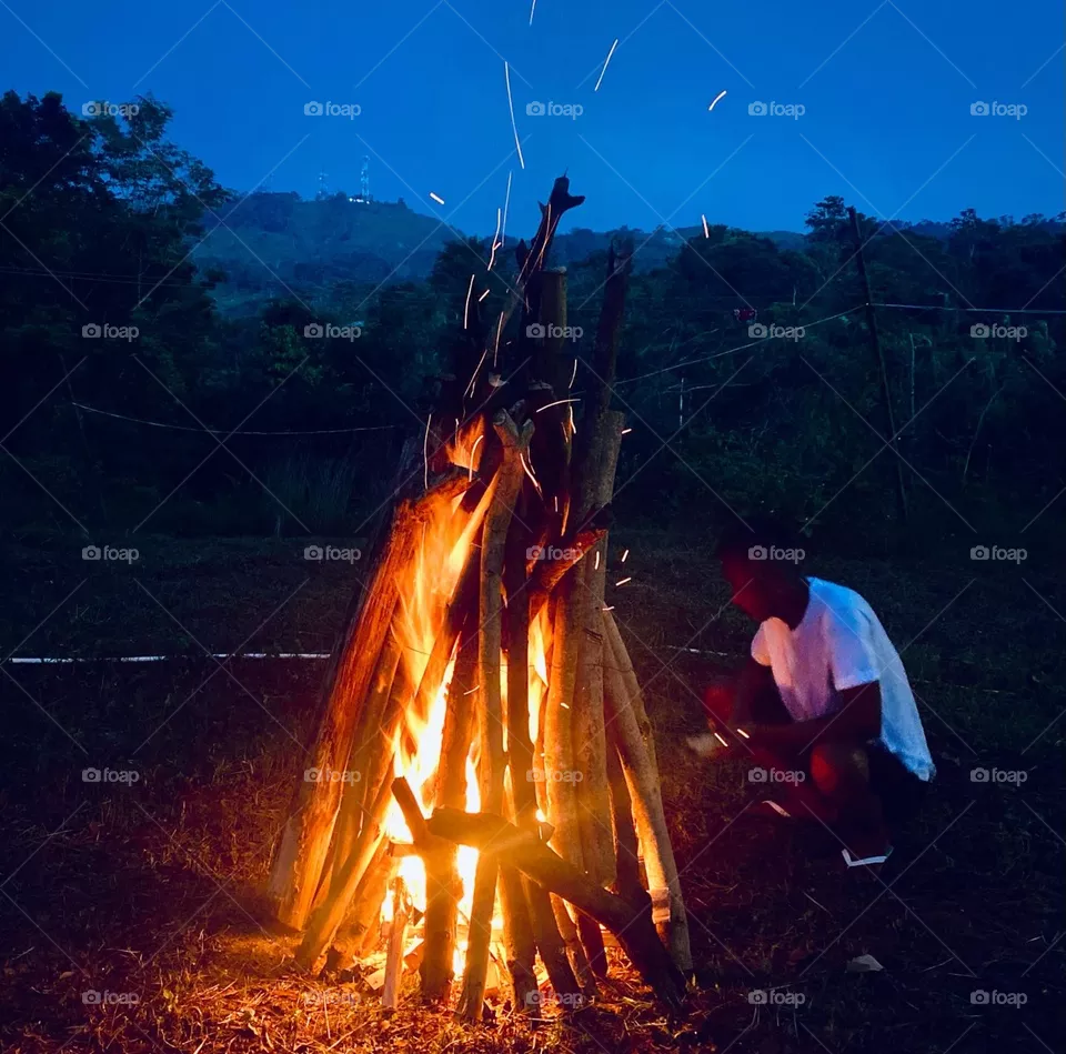 Bonfire nights