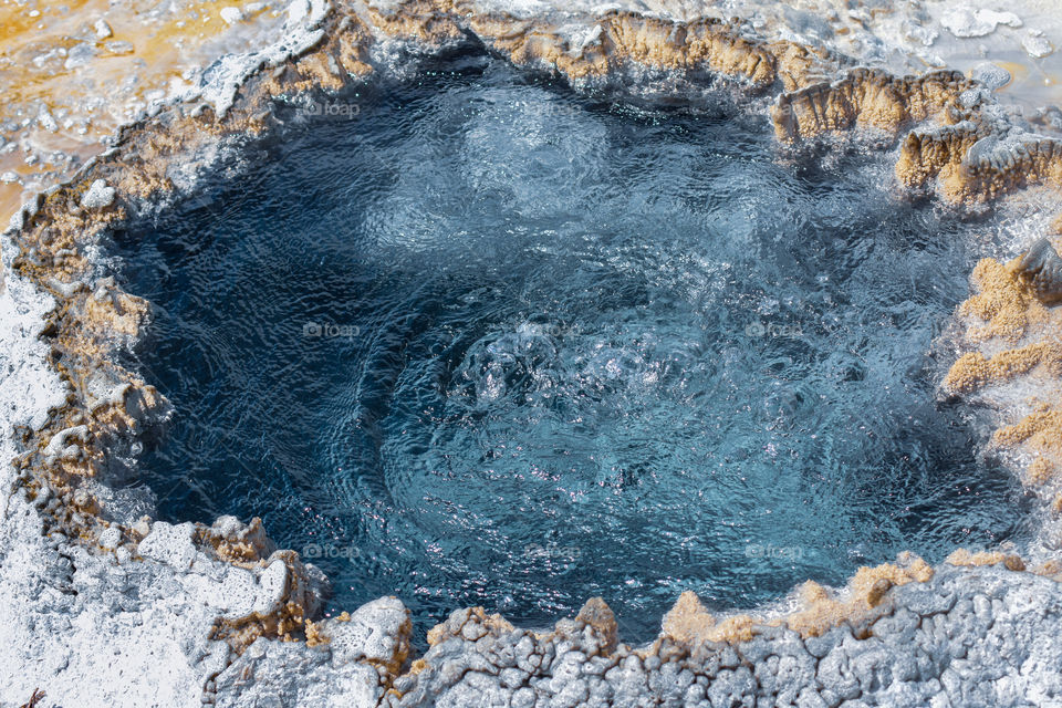 Chinese spring close up in Yellowstone