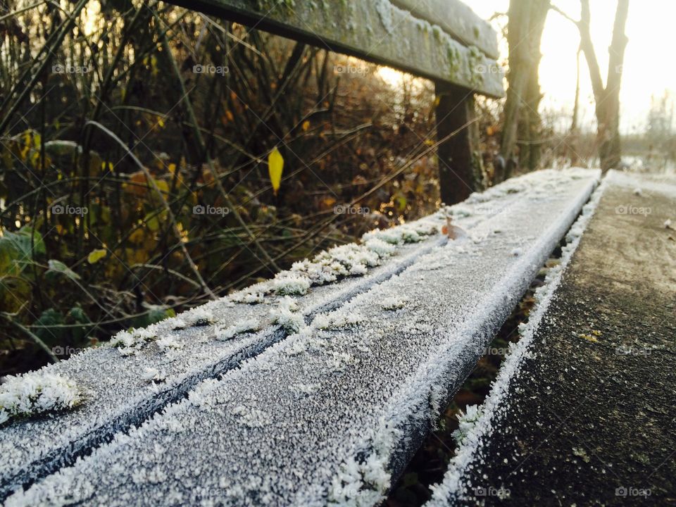 Wooden frozen bench