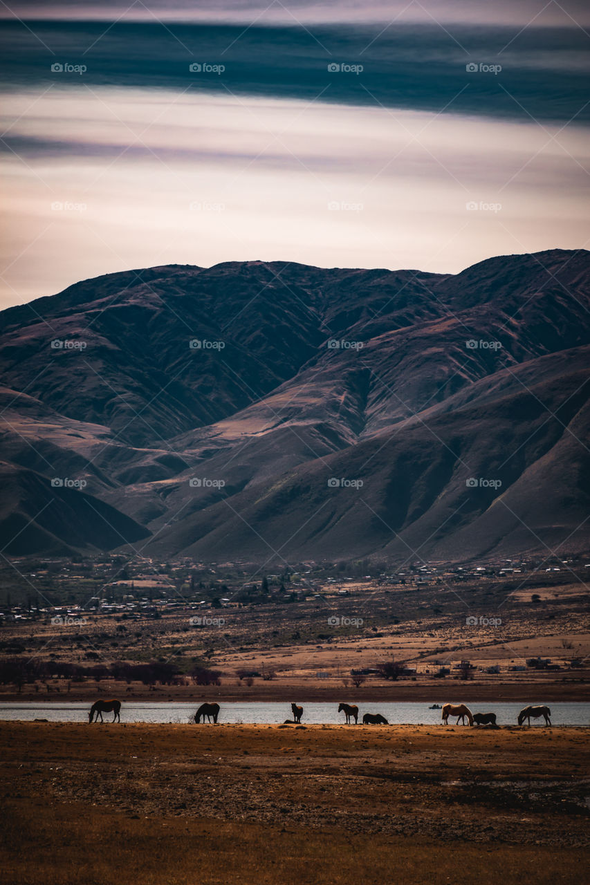El Mollar - Tucumán - Argentina 

Instagram @pamroblesspace
