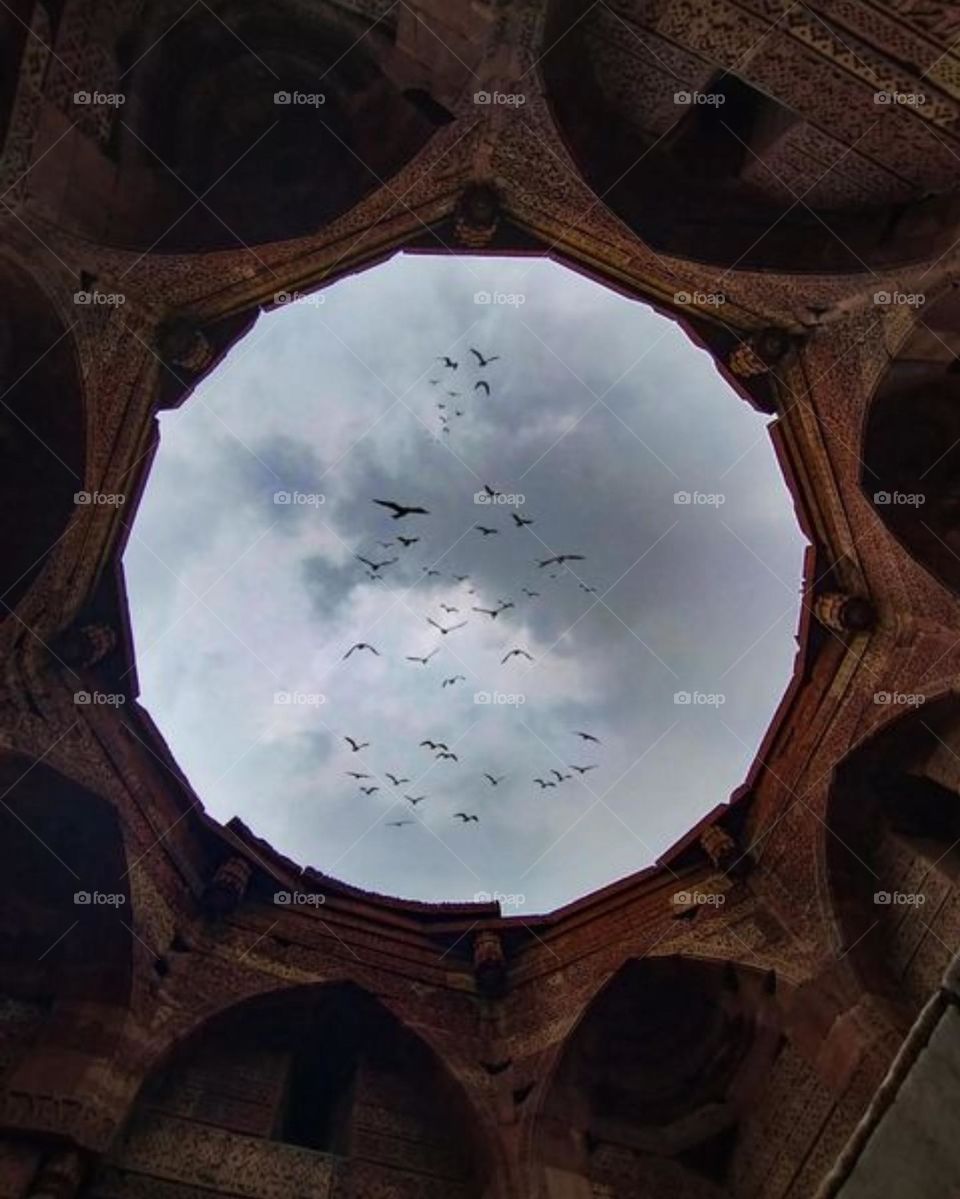 A very nice capture full of view