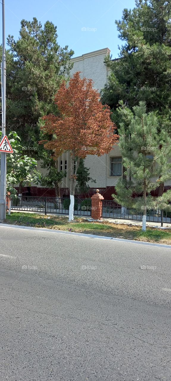 wonderful, landscape on the road, beauty and serenity, summer and autumn,