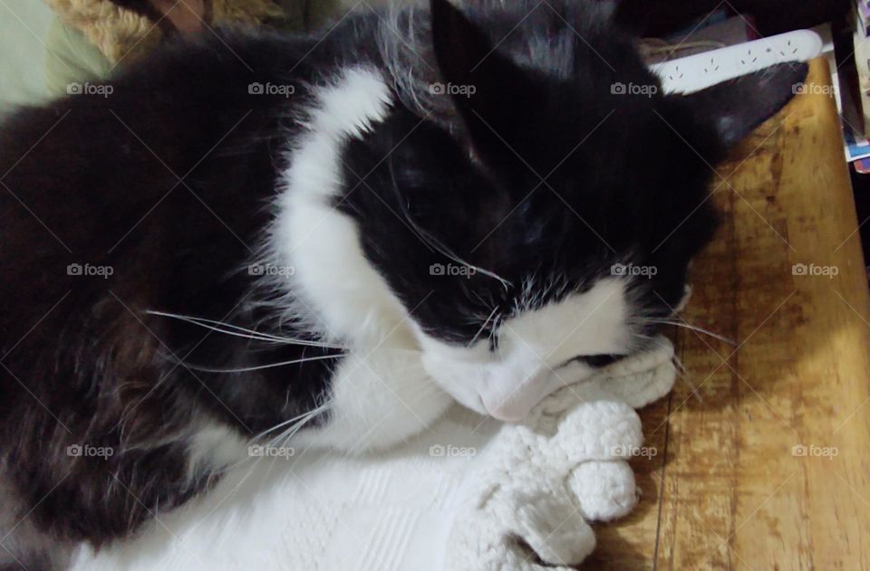 tomando una siesta # taking a nap