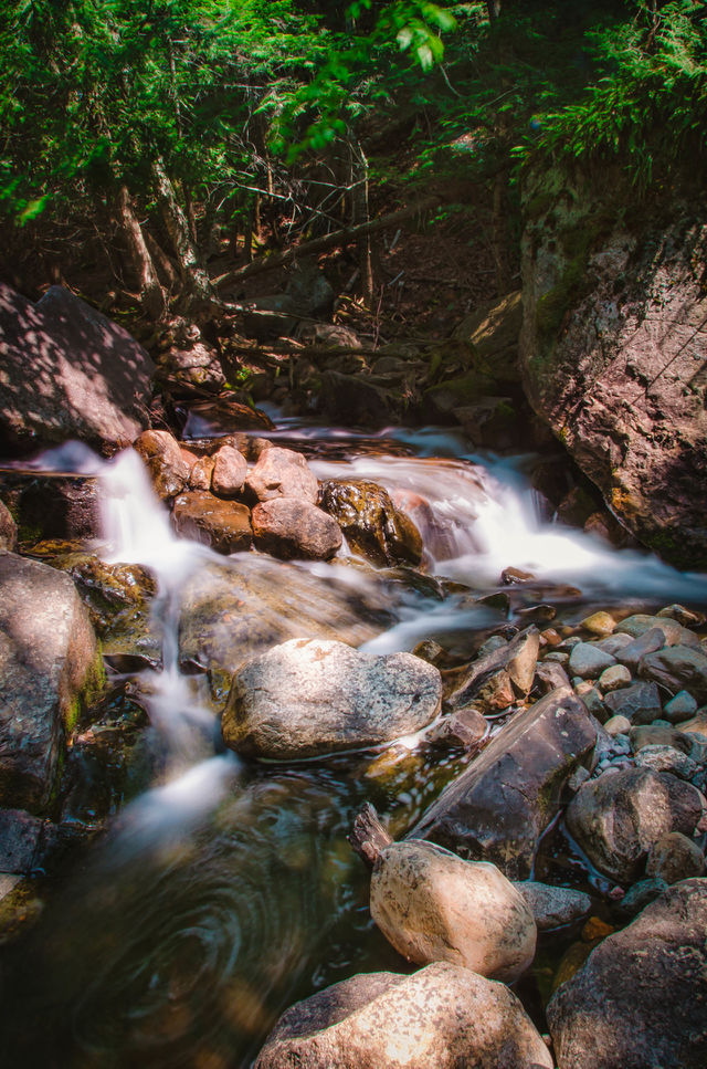 Stream flowing through rocks