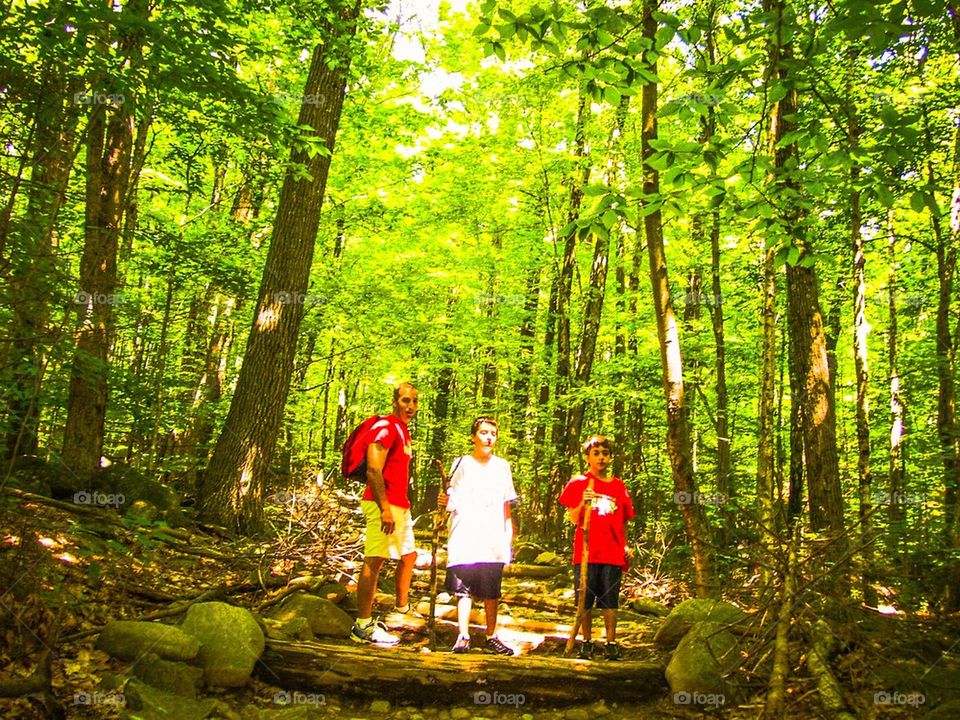 Hiking the Berkshire Mountains and forests