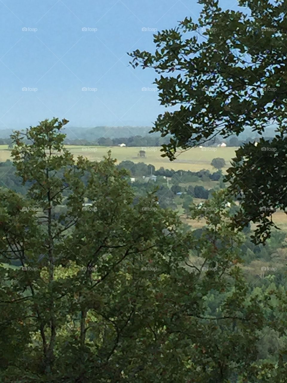 The Valley Below. View from my back deck of the valley below late evening after a rain shower